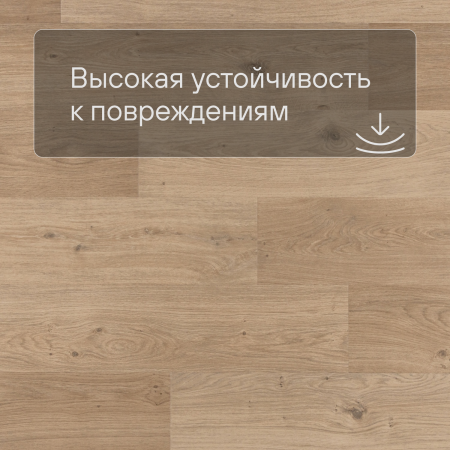 QS Second choice Alpha BLOS  SPE40321 - AVSPU 40321 Дуб береговой бежевый