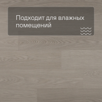 QS Second choice Alpha BLOS BASE  SPE40280 - AVSPT 40280 Дуб чиа