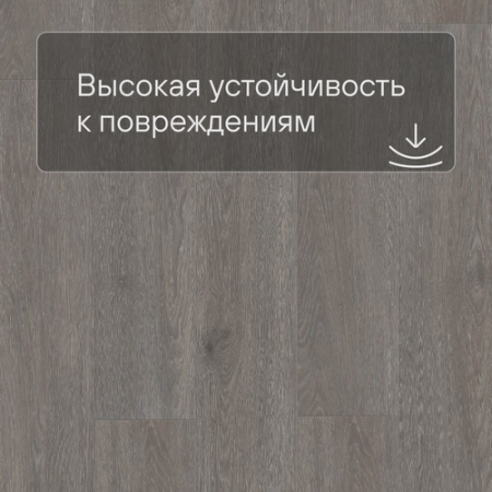 QS LIVYN Balance Click Plus BACP 40060 Дуб шелковый темно-серый