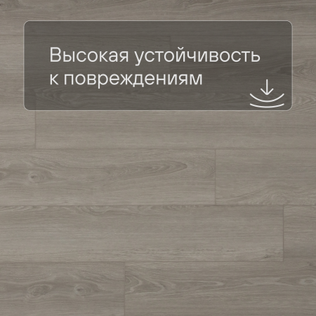QS SPC Atmosphere ASPC 20248 Дуб серый гладкий