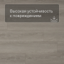 QS SPC Atmosphere ASPC 20248 Дуб серый гладкий