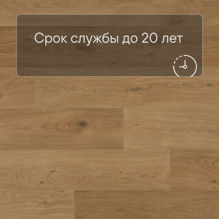 QS Second choice Alpha BLOS  SPE40320 - AVSPU 40320 Дуб береговой медовый
