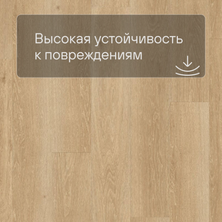QS LIVYN Pulse Glue Plus PUGP 40081 Дуб морской натуральный