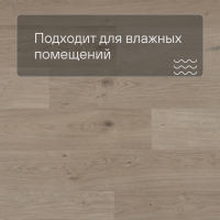 QS Second choice Alpha BLOS BASE  SPE40322 - AVSPT 40322 Дуб береговой песчаный