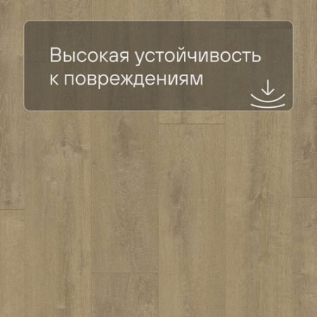 QS LIVYN Balance Click BACL 40159 Дуб бархатный песочный