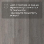 QS LIVYN Balance Click BACL 40060 Дуб шелковый темно-серый