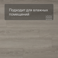 QS SPC Atmosphere ASPC 20248 Дуб серый гладкий