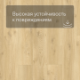QS LIVYN Balance Click BACL 40018 Бежевый дуб