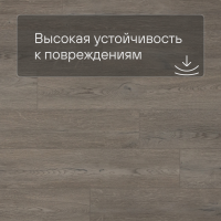 QS SPC Atmosphere ASPC 20242 Дуб греш