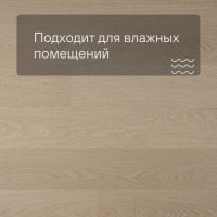 QS Second choice Alpha BLOS  SPE40277 - AVSPU 40277 Дуб молочный