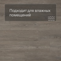 QS SPC Atmosphere ASPC 20242 Дуб греш