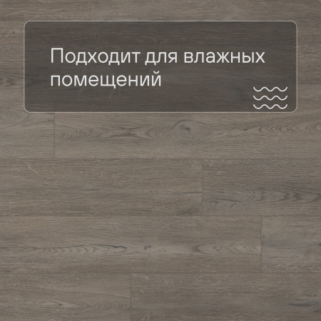 QS SPC Atmosphere ASPC 20242 Дуб греш