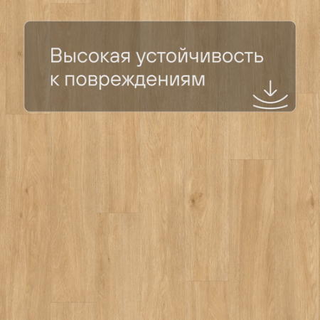 QS LIVYN Balance Click BACL 40130 Дуб шёлковый тёплый натуральный