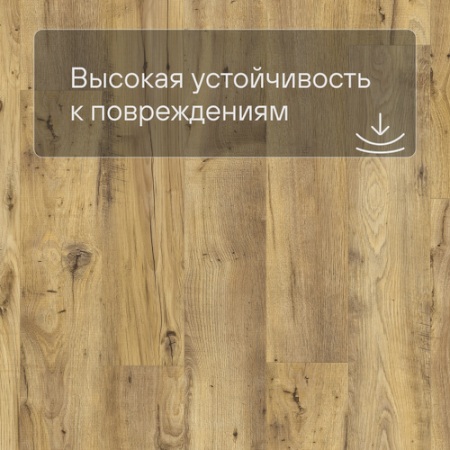 QS LIVYN Balance Click BACL 40029 Каштан винтажный натуральный