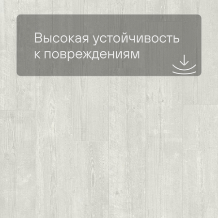 QS LIVYN Pulse Glue Plus PUGP 40204 Сосна светло-серая