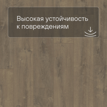 QS LIVYN Balance Click BACL 40160 Дуб бархатный коричневый