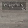 QS SPC Canyon CSPC 20297 Дуб северный темно-серый