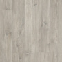 Quick Step LIVYN Balance Glue Plus BAGP 40030 Дуб каньон серый пилёный