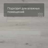 QS SPC Atmosphere ASPC 20240 Дуб светлый