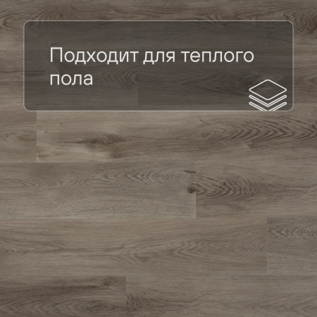 QS SPC Canyon CSPC 20296 Дуб северный греш