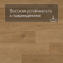QS Alpha Vinyl BLOS планка AVSPU 40320 Дуб береговой медовый