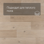 QS Second choice Alpha BLOS BASE  SPE40321 - AVSPT 40321 Дуб береговой бежевый