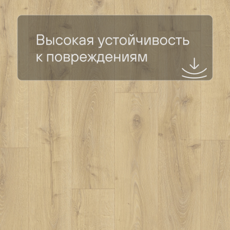 QS LIVYN Balance Click BACL 40156 Дуб королевский натуральный