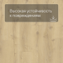 QS LIVYN Balance Click BACL 40156 Дуб королевский натуральный