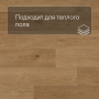 QS Second choice Alpha BLOS  SPE40320 - AVSPU 40320 Дуб береговой медовый