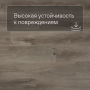 QS SPC Canyon CSPC 20296 Дуб северный греш