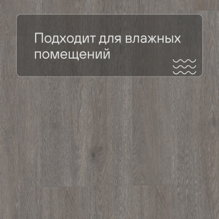 QS LIVYN Balance Click Plus BACP 40060 Дуб шелковый темно-серый