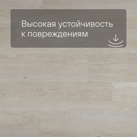 QS LIVYN Pulse Glue Plus PUGP 40079 Дуб морской светлый