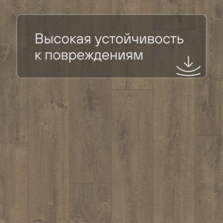 QS LIVYN Balance Click Plus BACP 40160 Дуб бархатный коричневый