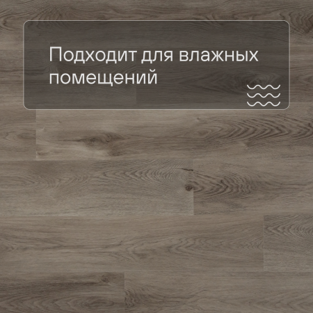 QS SPC Canyon CSPC 20296 Дуб северный греш