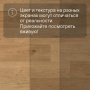 QS Second choice Alpha BLOS  SPE40320 - AVSPU 40320 Дуб береговой медовый