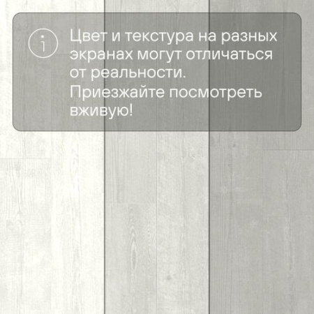 QS LIVYN Pulse Glue Plus PUGP 40204 Сосна светло-серая