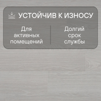 Ламинат Quick Step Impressive IM4665 Дуб серый лакированный