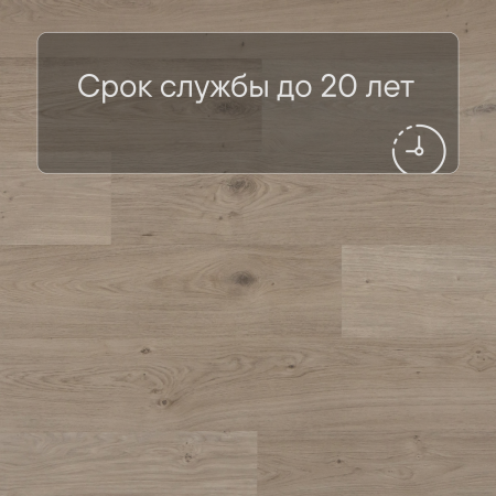 QS Second choice Alpha BLOS BASE  SPE40322 - AVSPT 40322 Дуб береговой песчаный