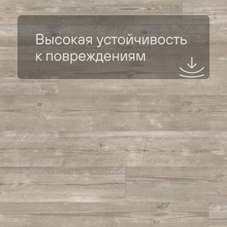 Quick Step LIVYN Pulse Click PUCL 40074 Утренняя сосна