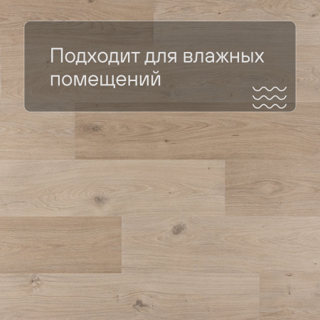 QS Second choice Alpha BLOS BASE  SPE40321 - AVSPT 40321 Дуб береговой бежевый