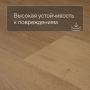 QS Alpha Vinyl BLOOM планка AVMPU 40316 Дуб элегантный натуральный