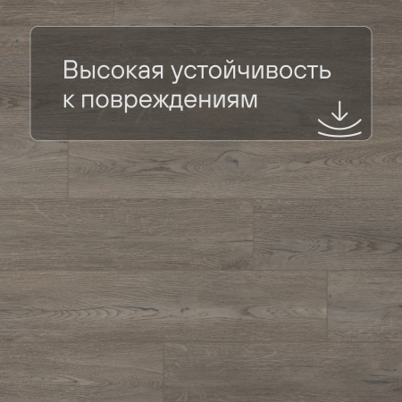 QS SPC Atmosphere ASPC 20242 Дуб греш