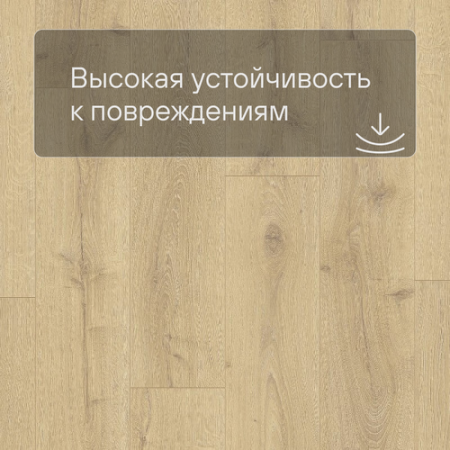 Quick Step LIVYN Balance Glue Plus BAGP 40156 Дуб королевский натуральный